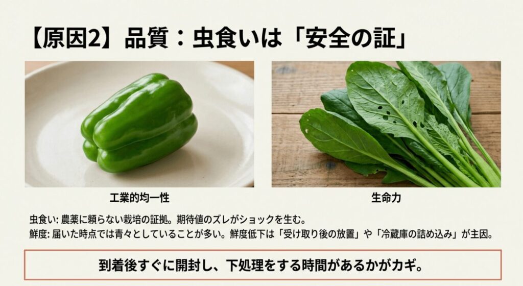 らでぃっしゅぼーやの虫食い野菜は農薬に頼らない栽培の証拠