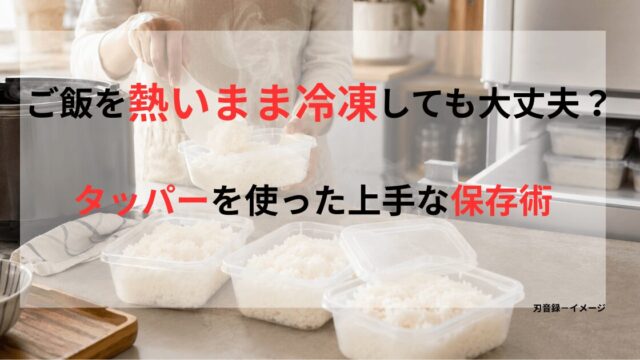 炊きたてのご飯をタッパーに小分けし、冷凍庫へ入れる前に湯気を落ち着かせている様子