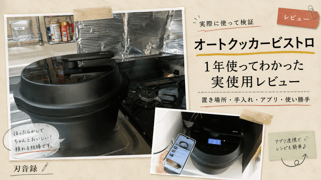 auto-cooker-bistro-nf-ac1000-review.png